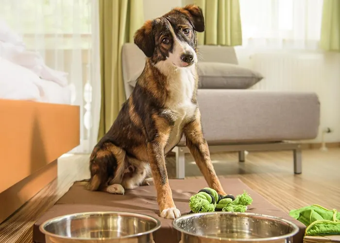 Grubers, Appartments Gastein Hotel 3*