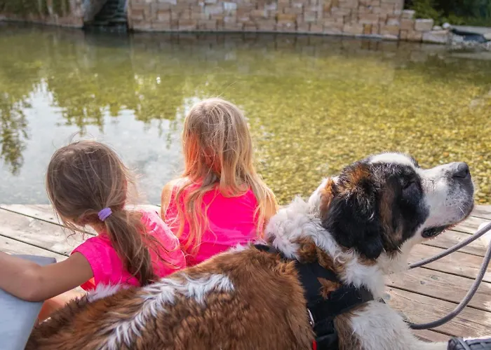 Hotel Grubers, Appartments Gastein 3*