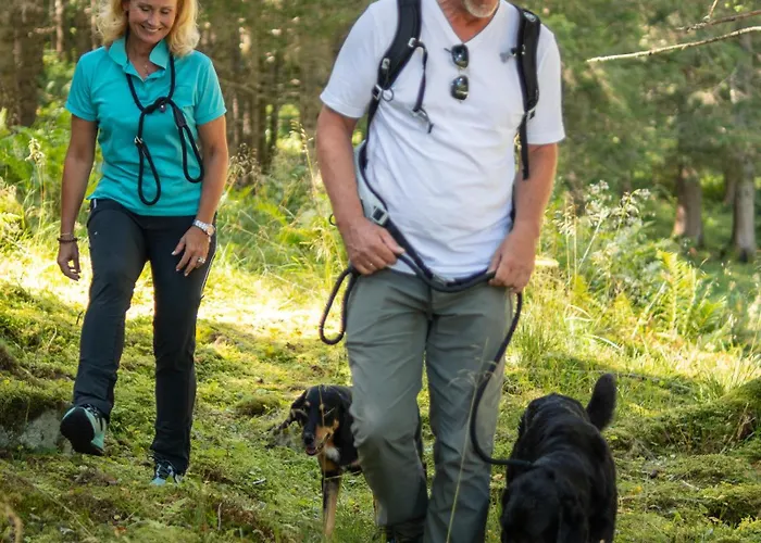 Hotel Grubers, Appartments Gastein Bad Gastein